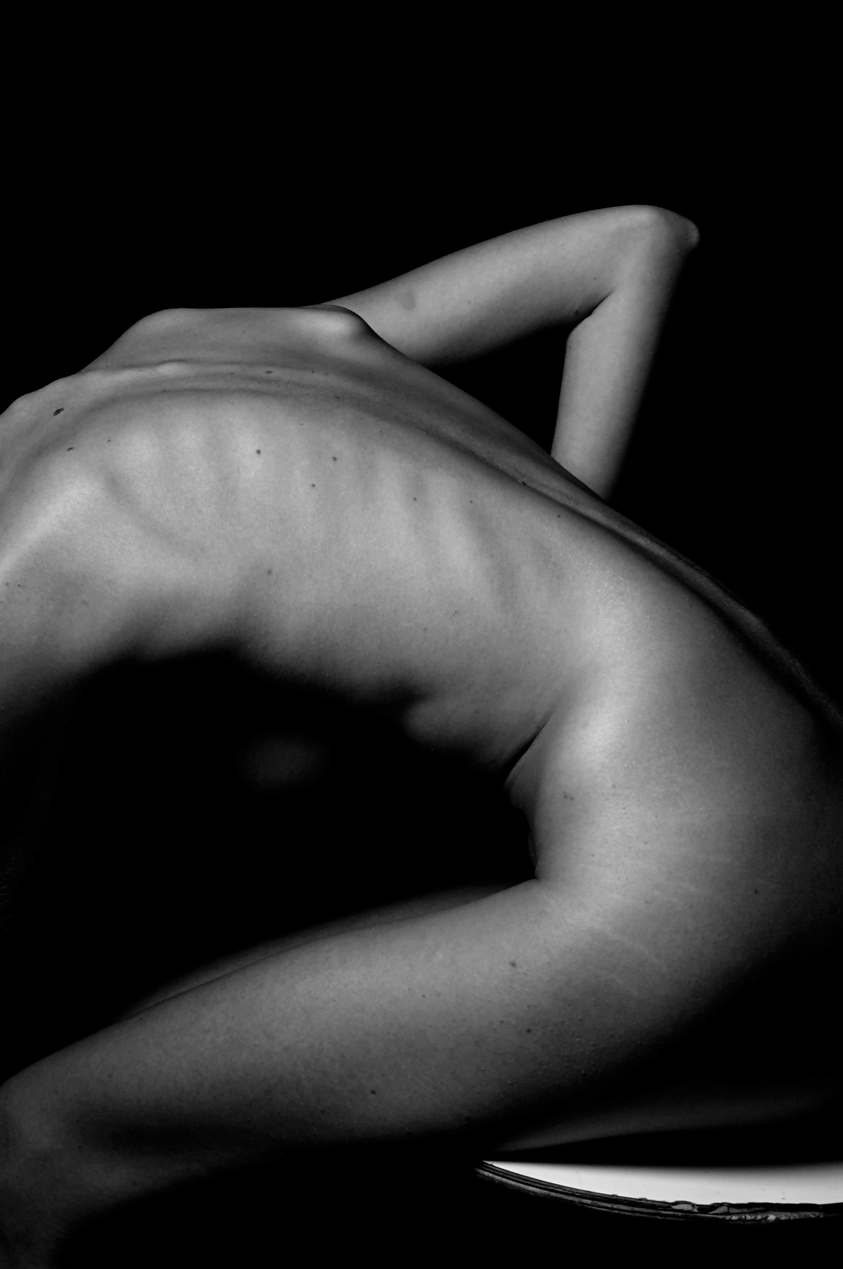 BODY COLLECTION
